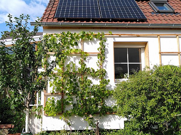 Foto, Ausschnitt des Einfamilienhauses mit Photovoltaikanlage, Fassadenbegrünung und Holzverkleidung an der Fensterlaibung. 
