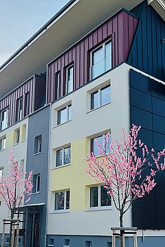 Foto, Mehrstöckiges Wohngebäude mit blauen und gelben Fassadenteilen, Balkonen und blühenden Kirschbäumen davor.