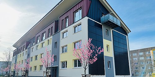 Mehrstöckiges Wohngebäude mit blauen und gelben Fassadenteilen, Balkonen und blühenden Kirschbäumen davor.