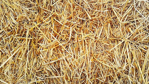 Foto, Detailaufnahme von Stroh.