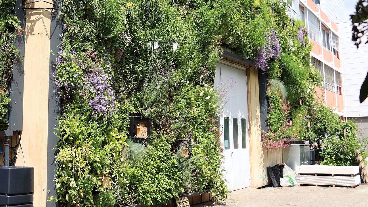 Foto, ein vertikaler Garten mit leuchtenden Blumen und Grünpflanzen schmückt die Wand neben einer weißen Tür und schafft einen ruhigen urbanen Raum.