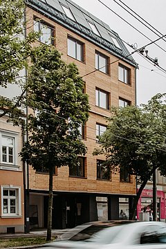 Straßenszene mit mehreren mehrstöckigen Gebäuden, Bäumen am Straßenrand und mehreren Autos auf der Straße unter grauem Himmel.