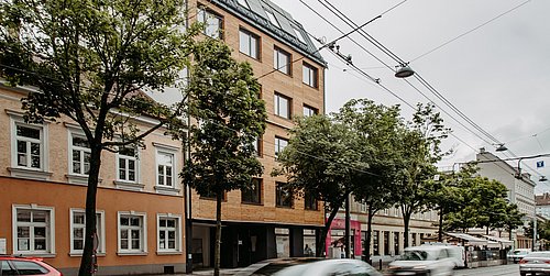 Straßenszene mit mehreren mehrstöckigen Gebäuden, Bäumen am Straßenrand und mehreren Autos auf der Straße unter grauem Himmel.