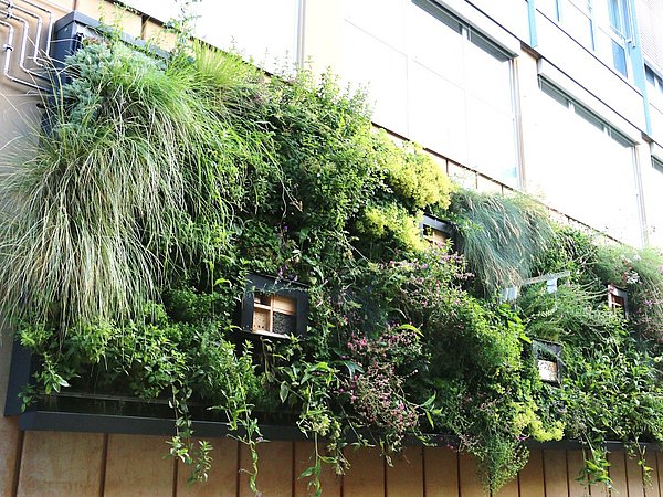 Foto, ein lebendiger vertikaler Garten bedeckt eine Gebäudewand und präsentiert üppiges Grün und bunte Pflanzen in verschiedenen Texturen und Formen.