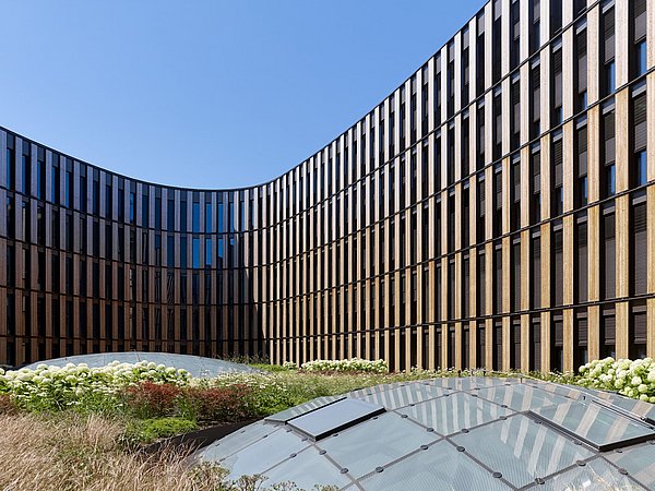 Foto, Nahaufnahme der Fassades des Rathauses in Freiburg aus Glas und Holz. Im Vordergrund befindet sich eine flache Glaskuppel im Boden.