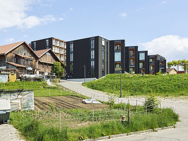 Foto, Moderne schwarze Wohngebäude neben traditionellen Holzhäusern mit Gartenflächen und Wiesen im Vordergrund