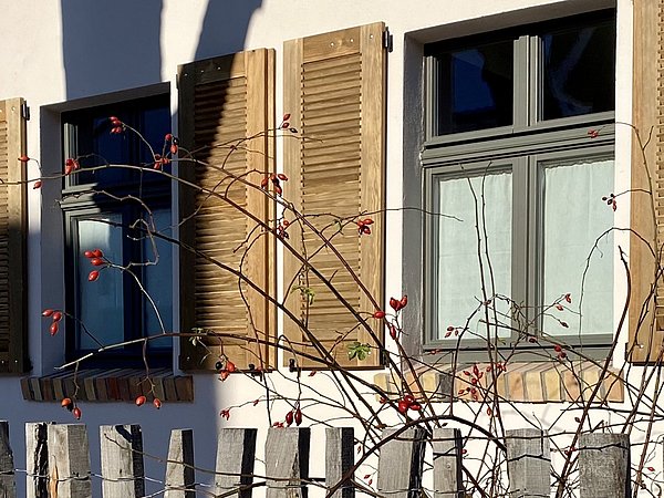 Fassade eines sanierten Hauses mit weißen Wänden, drei Fenstern und geöffneten braunen Holzläden, davor Zweige mit roten Beeren.