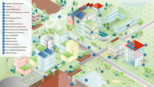 Grafik, Komponenten eines klimaresilienten Quartiers mit Wasserbelegen, Tiefbeeten, Regenwasserzisternen, Teichen, multifunktionalen Flächen, Wärmenetzen, Gebäudedämmung, Solar- und Gründächern, Fassadenbegrünung und Kaltluftschneisen