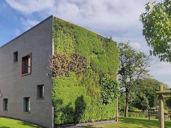 Fassadendetail einer Schule mit vertikalem Garten aus verschiedenen grünen Pflanzen an einer Gebäudeecke.