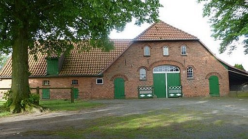 Foto, Frontalansicht auf verklinkertes Niedersachsenhaus mit Baum im Vordergrund.