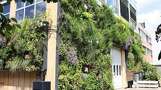 Foto, Üppiger grüner vertikaler Garten, der eine Gebäudewand bedeckt, mit verschiedenen Pflanzen und Blumen, wobei eine Tür und Fenster sichtbar sind.