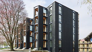 Foto, Mehrstöckiges Wohngebäude mit schwarzer Fassade und großen Fenstern, daneben ein Baum mit roten Blättern