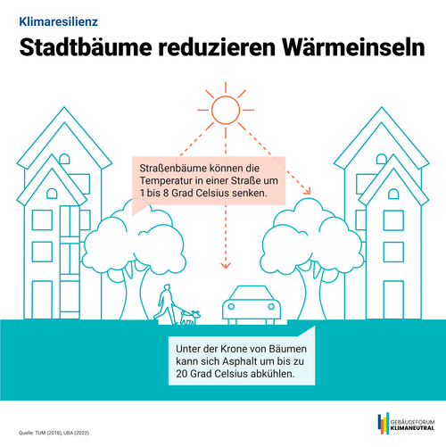 Grafik, Infografik die zeigt, dass Stadtbäume Wärmeeinseleffekte reduzieren.