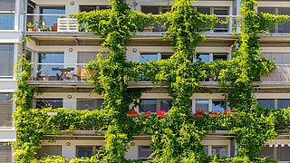 Foto, Fassade eines Wohnhauses mit Balkonen, teilweise begrünt mit Kletterpflanzen