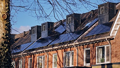 Foto, Reihe von Backsteinhäusern mit Solarpaneelen auf den Dächern und kahlem Baum im Vordergrund.