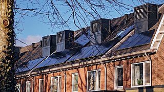 Foto, Reihe von Backsteinhäusern mit Solarpaneelen auf den Dächern und kahlem Baum im Vordergrund.