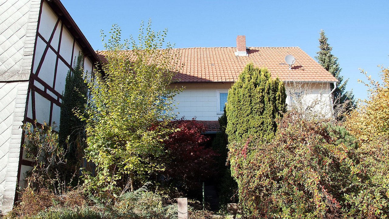 Foto, Rückansicht eines weißen Hauses mit rotem Ziegeldach, umgeben von dichtem, herbstlichem Bewuchs und Bäumen