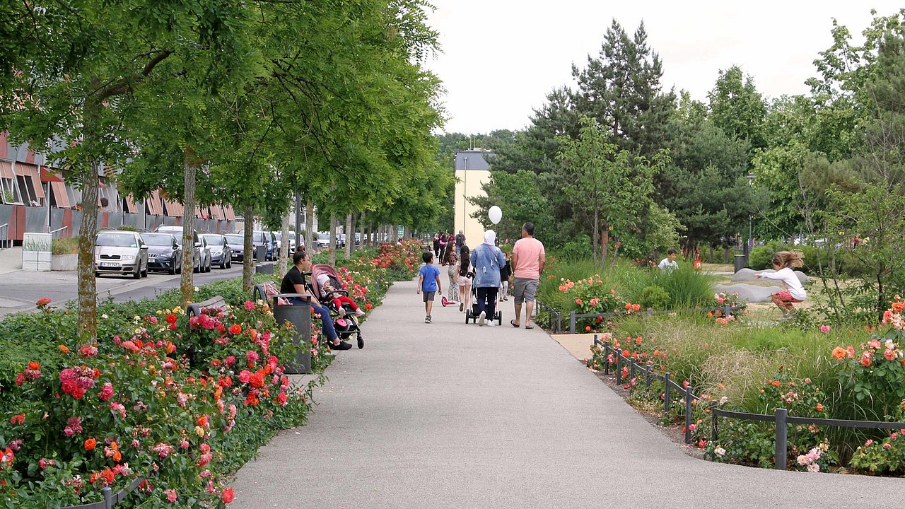 Foto, Breiter Fußweg mit blühenden Rosenbeeten und mehreren Personen, darunter eine Familie mit Kinderwagen, in einem Park oder einer Grünanlage