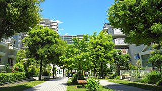 Foto, grüne Bäume und Sträucher säumen einen breiten Weg zwischen Wohngebäuden unter blauem Himmel mit wenigen Wolken.