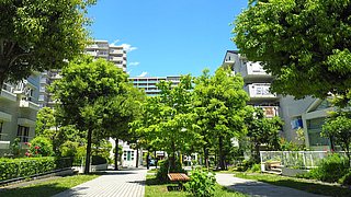 Foto, grüne Bäume und Sträucher säumen einen breiten Weg zwischen Wohngebäuden unter blauem Himmel mit wenigen Wolken.