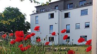 Foto, Im Vordergrund stehen zahlreiche leuchtend rote Mohnblumen mit grünen Stängeln und Knospen. Dahinter befindet sich ein modernes, mehrstöckiges Wohngebäude mit weißer Fassade und grauen Elementen im oberen Bereich. Einige Fenster sind geöffnet, auf den Balkonen sind Pflanzen und Möbel zu erkennen. Links wächst ein großer Baum mit dichter grüner Krone. Der Himmel ist hell und klar.
