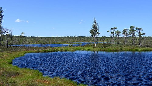Foto, Moorlandschaft mit einer großen Wasserfläche im Vordergrund
