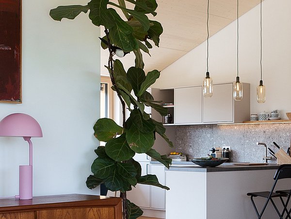 Moderner Wohnraum mit offener Küche, hängender Zimmerpflanze, rosa Lampe auf Holzkommode und drei Pendelleuchten über Kücheninsel.