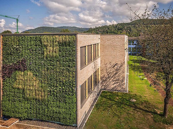 Fassade einer Schule mit vertikalem Garten an der Außenwand und Fensterreihen, umgeben von Grünflächen und Bäumen.