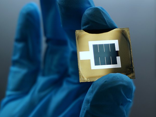 Foto, Hand in einem Gummihandschuh hält eine Solarzelle zwischen Daumen und Zeigefinger.
