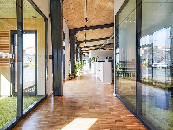 Foto, Langer Flur in einem modernen Bürogebäude mit großen Glaswänden und Holzboden, Pflanzen und Tageslicht