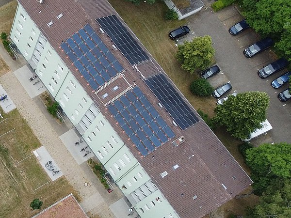Foto, Dach eines Wohngebäudes mit mehreren Reihen von Solarpanelen, umgeben von Bäumen und geparkten Autos