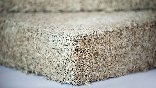 Foto, Nahaufnahme eines Bauelements mit Chinaschilf (Miscanthus).