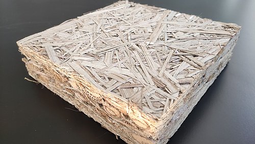 Foto, eine Dämmplatte aus zerkleinertem Rohrkolben (Typha).