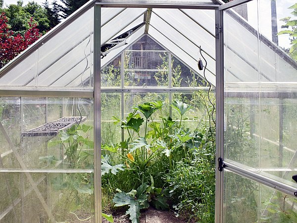 Foto, Geöffnetes Gewächshaus mit Pflanzen im Klimagarten der Paul-Robeson-Schule
