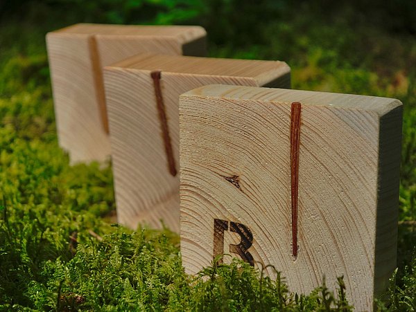 Foto, Drei quadratische Holzstücke mit eingeschlagenen Holznägeln stehen auf Moos