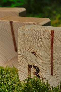 Foto, Drei quadratische Holzstücke mit eingeschlagenen Holznägeln stehen auf Moos