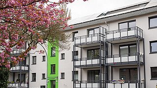 Foto, Mehrfamilienhaus mit Balkonen und Solarpaneelen auf dem Dach, davor blühender Kirschbaum