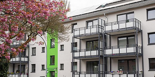 Foto, Mehrfamilienhaus mit Balkonen und Solarpaneelen auf dem Dach, davor blühender Kirschbaum