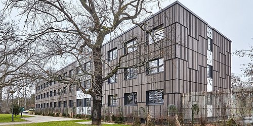 Foto, saniertes Verwaltungsgebäude mit grauer Holzfassade.