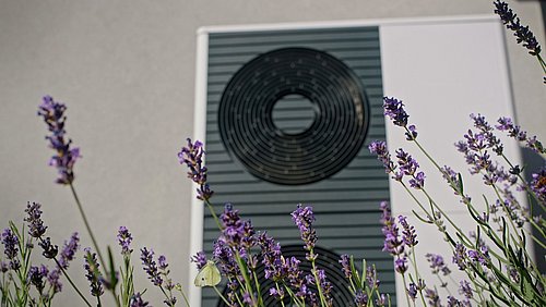 Foto, Wärmepumpe mit rundem Lüftergitter an einer Wand hinter blühendem Lavendel.