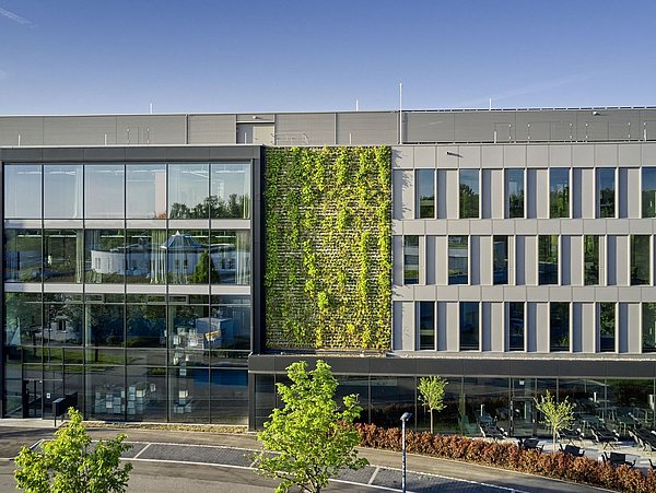 Foto, Aufnahme einer Fassade mit Fensterfront und begrünter Fassade eines Bürogebäudes