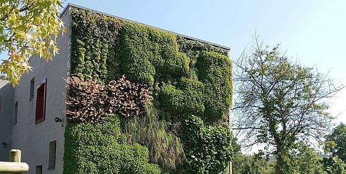 Schulgebäude mit einer vertikalen Fassade, die vollständig mit verschiedenen grünen Pflanzen begrünt ist, umgeben von Bäumen und Rasen.