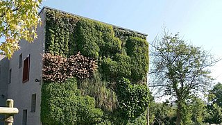 Schulgebäude mit einer vertikalen Fassade, die vollständig mit verschiedenen grünen Pflanzen begrünt ist, umgeben von Bäumen und Rasen.
