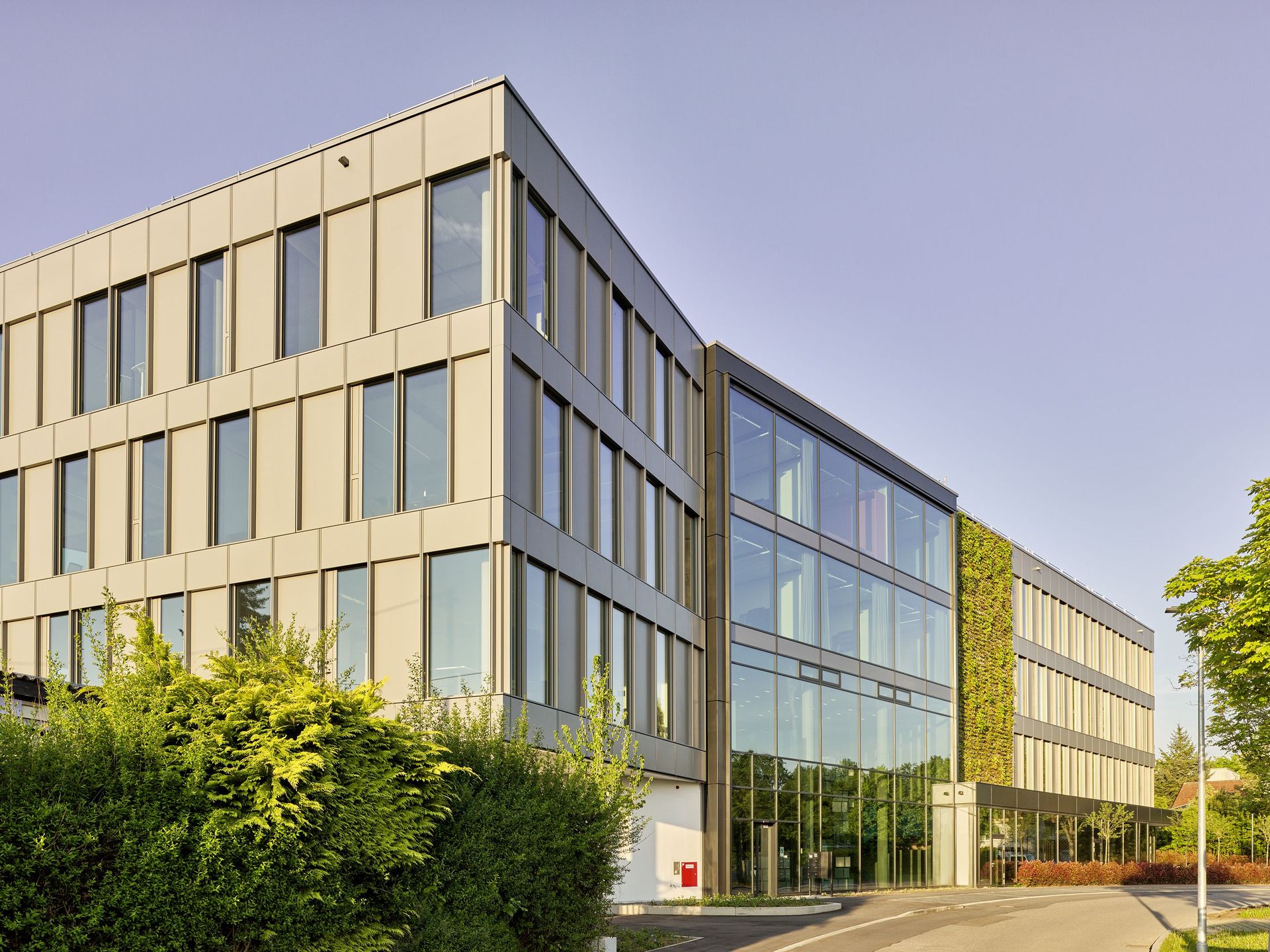 Foto, Außenaufnahme von Bürogebäude mit Fensterfläche und begrünter Fassade