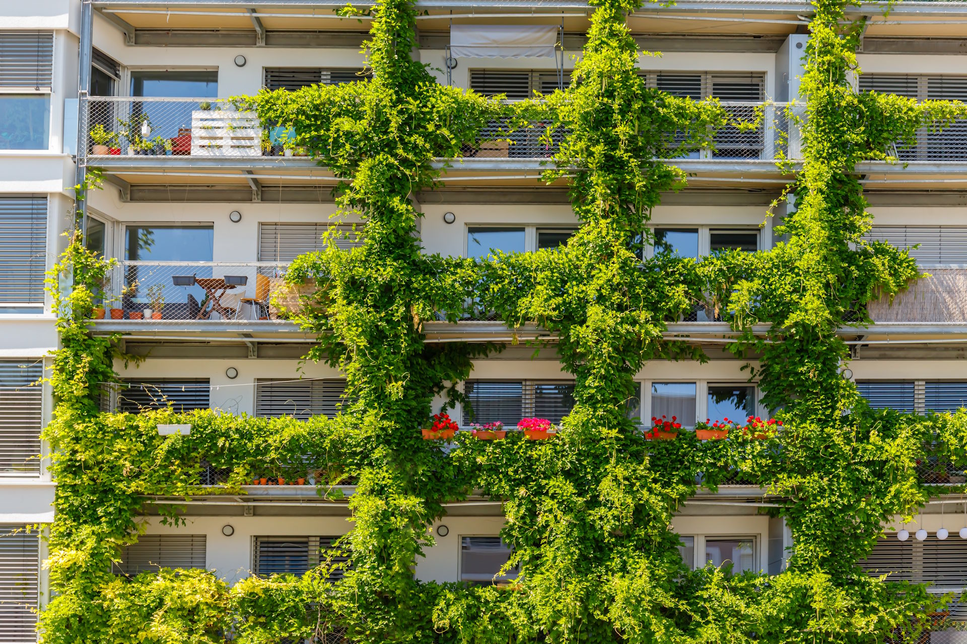 Foto, Fassade eines Wohnhauses mit Balkonen, teilweise begrünt mit Kletterpflanzen